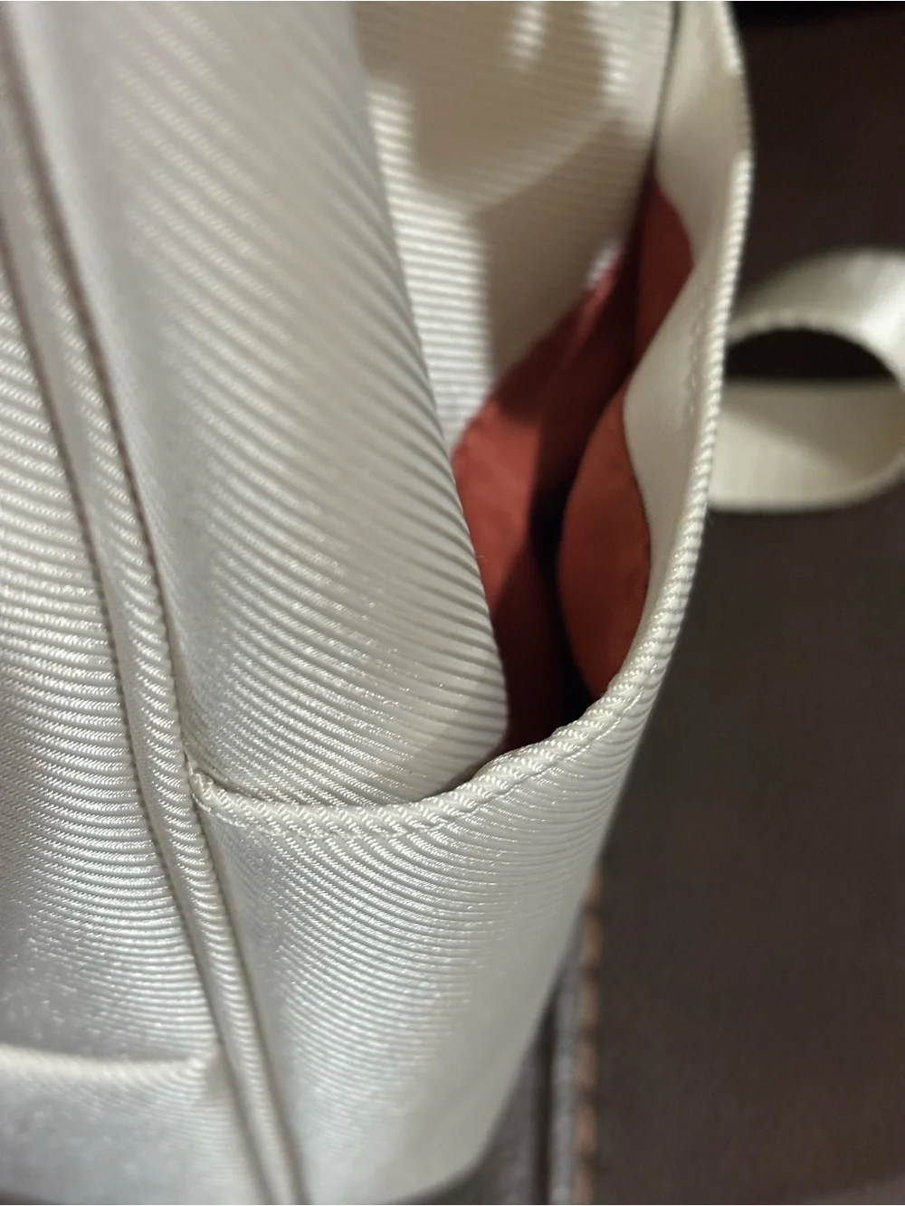 DELSEY Paris Men's Cream & Tan Travel Backpack